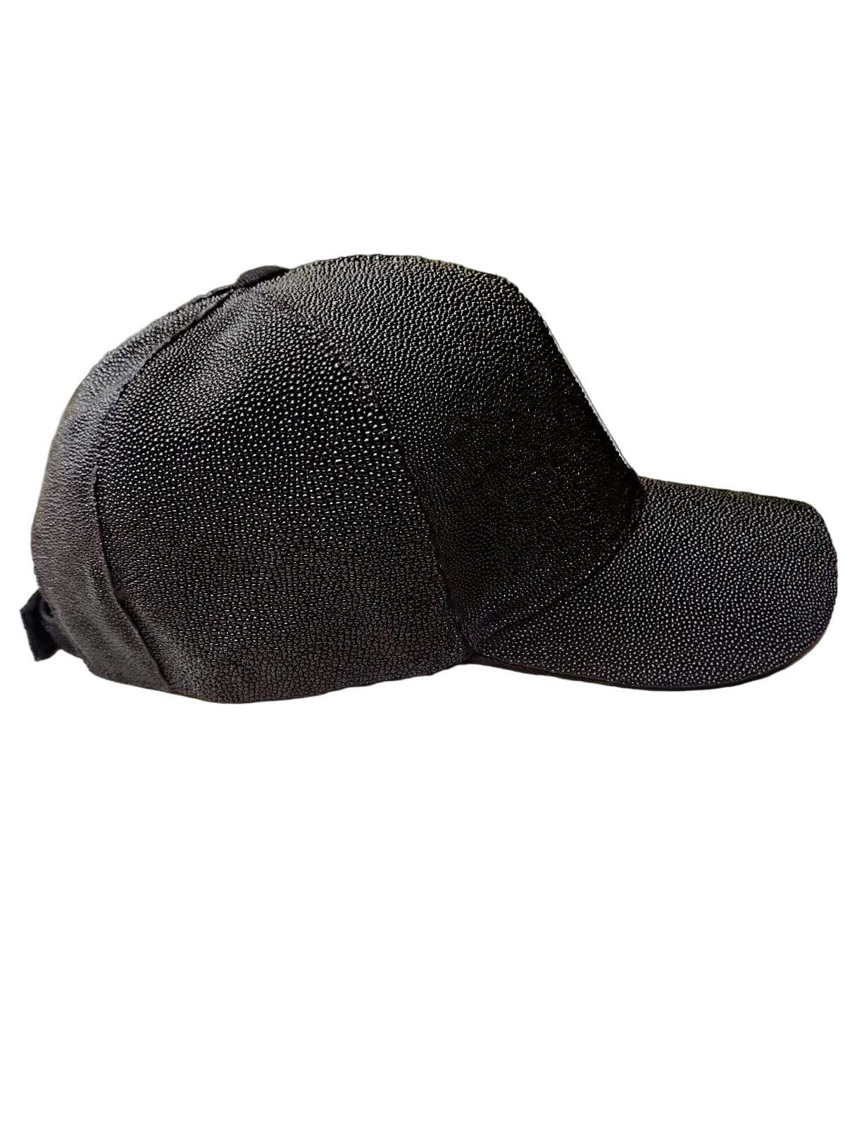 Mantarraya Negra