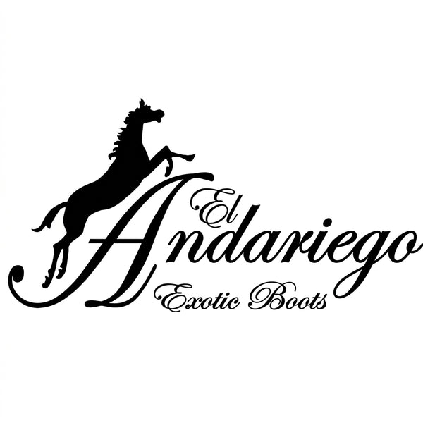 Andariego