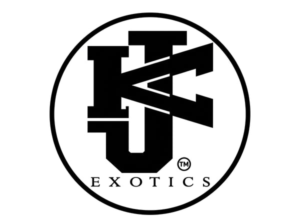 KJ Exotics